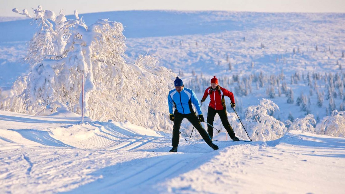 narty biegowe, wyjazdy dla par, wyjazdy rodzinne na narty biegowe miejsca naturalne biohotele ekologiczna żywność